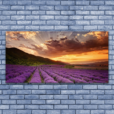 Slika na akrilnem steklu Področje lavender sunset