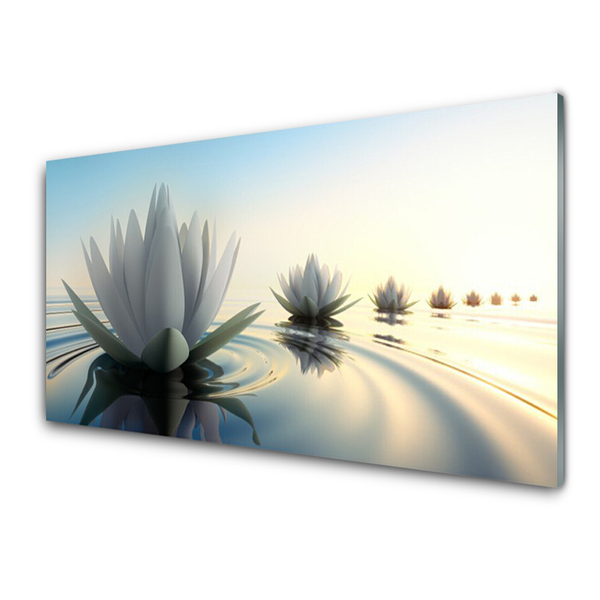 Slika na akrilnem steklu Cvetje water lilies ribnik