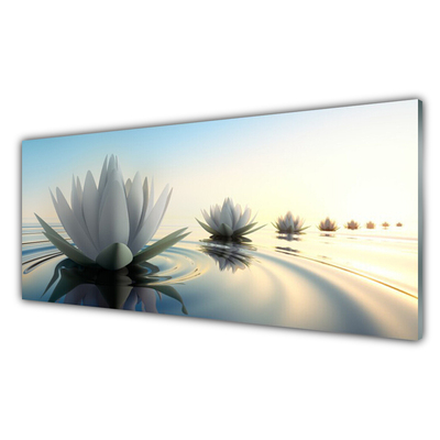 Slika na akrilnem steklu Cvetje water lilies ribnik