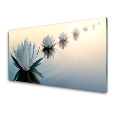 Slika na akrilnem steklu White water lilies waterlily