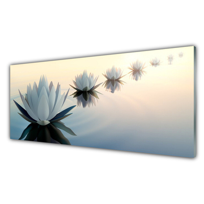 Slika na akrilnem steklu White water lilies waterlily