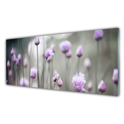 Slika na akrilnem steklu Cvetje wildflowers travnik narava