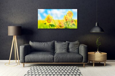 Slika na akrilnem steklu Sončnica rože narava
