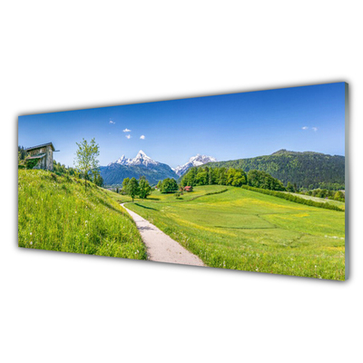 Slika na akrilnem steklu Mountain travnik dolina pot