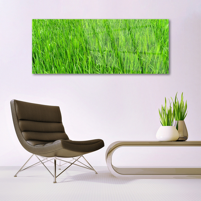 Slika na akrilnem steklu Narava green grass turf