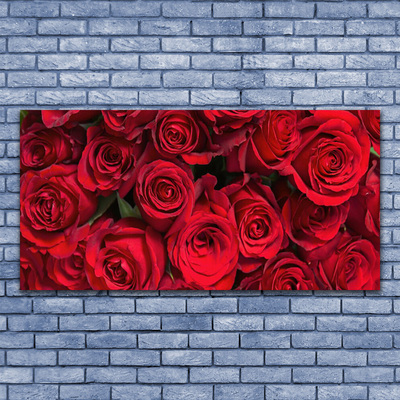 Slika na akrilnem steklu Red roses flowers narava