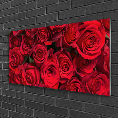 Slika na akrilnem steklu Red roses flowers narava
