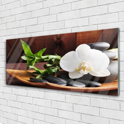 Slika na akrilnem steklu Bambus zen bela orhideja