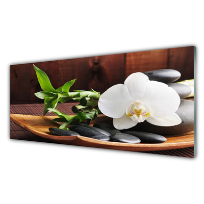 Slika na akrilnem steklu Bambus zen bela orhideja
