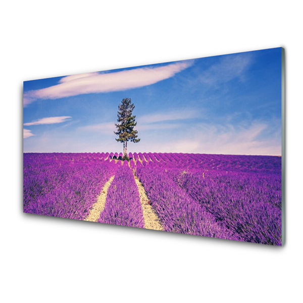 Slika na akrilnem steklu Lavender polje travnik drevo