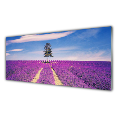 Slika na akrilnem steklu Lavender polje travnik drevo