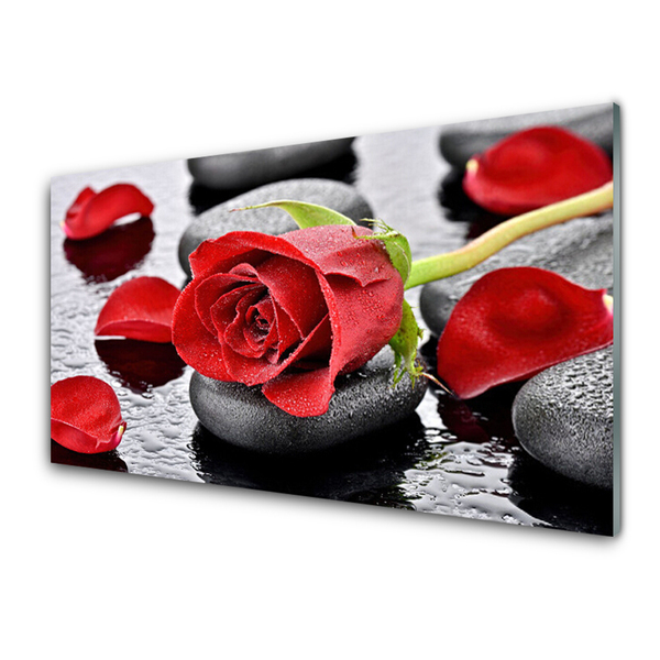 Slika na akrilnem steklu Red rose flower