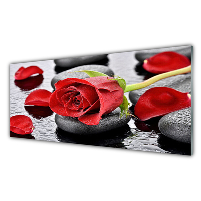 Slika na akrilnem steklu Red rose flower