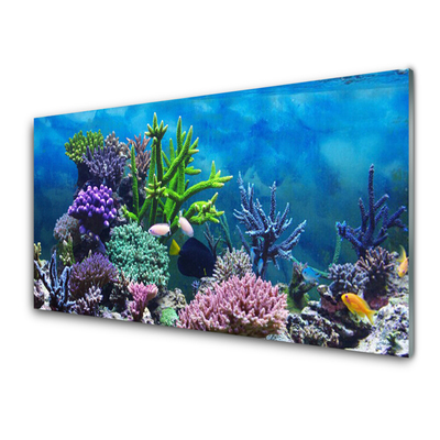 Slika na akrilnem steklu Aquarium fish pod vode