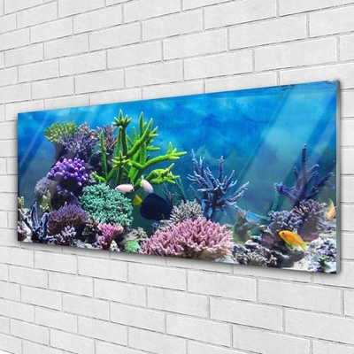 Slika na akrilnem steklu Aquarium fish pod vode