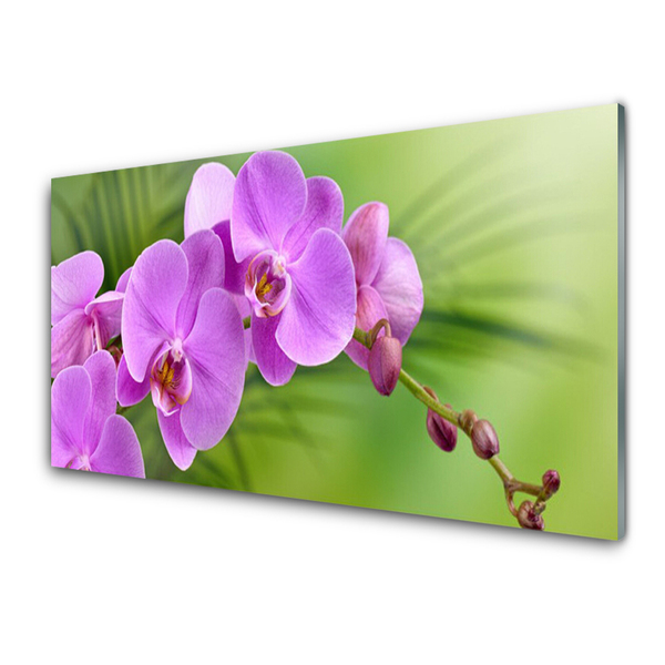 Slika na akrilnem steklu Orhideja orhideje