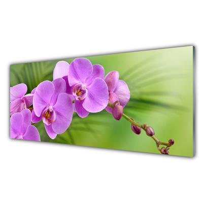 Slika na akrilnem steklu Orhideja orhideje