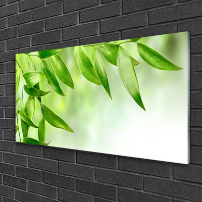 Slika na akrilnem steklu Green leaves narava