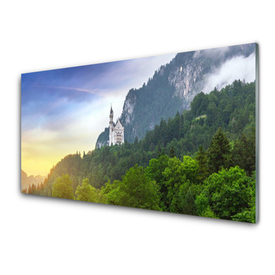 Slika na akrilnem steklu Grad v gorah forest landscape