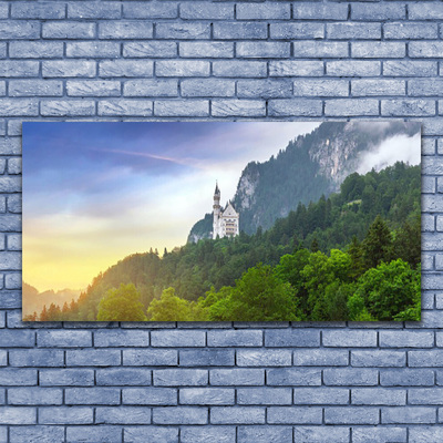 Slika na akrilnem steklu Grad v gorah forest landscape