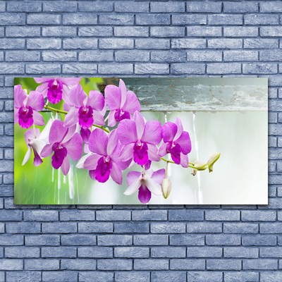 Slika na akrilnem steklu Orhideje narava drops