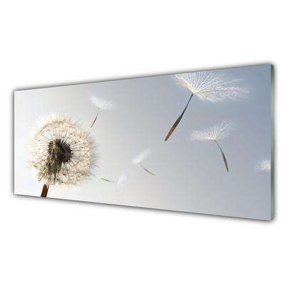 Slika na akrilnem steklu Dandelion rože narava