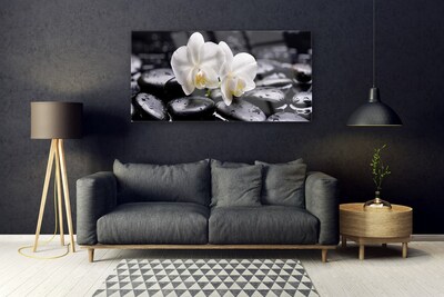Slika na akrilnem steklu Zen bela orchid spa