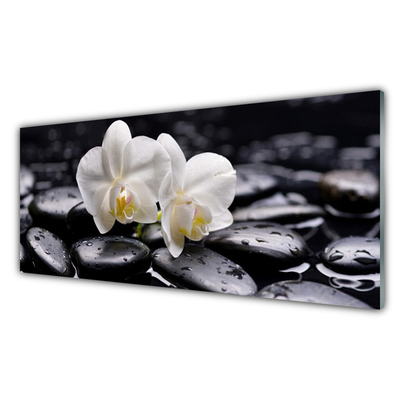 Slika na akrilnem steklu Zen bela orchid spa