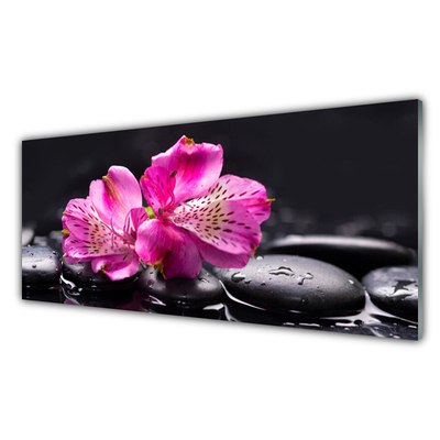 Slika na akrilnem steklu Cvetje kamni zen spa