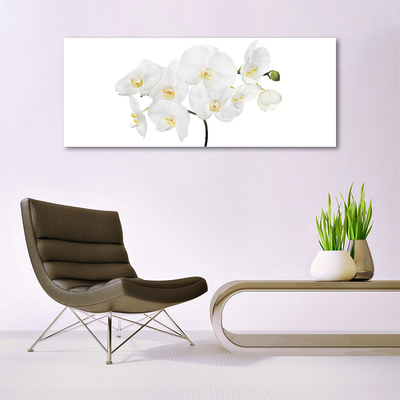 Slika na akrilnem steklu Bela orhideje