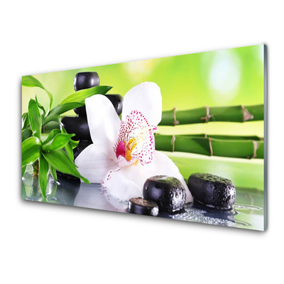 Slika na akrilnem steklu Orchid bamboo listi