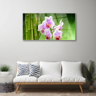 Slika na akrilnem steklu Bamboo orchid cvetje zen