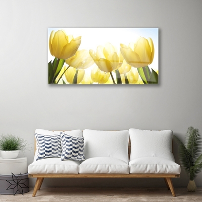Slika na akrilnem steklu Tulipani flowers rays