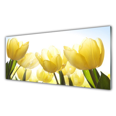 Slika na akrilnem steklu Tulipani flowers rays