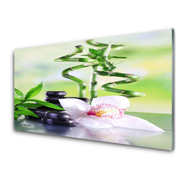 Slika na akrilnem steklu Bamboo orchid zen spa