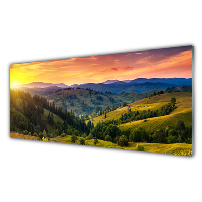 Slika na akrilnem steklu West travnik landscape