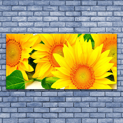 Slika na akrilnem steklu Sončnica flower narava