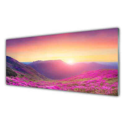 Slika na akrilnem steklu Sun mountain travnik narava