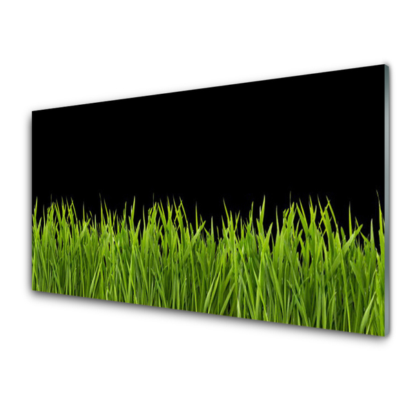 Slika na akrilnem steklu Green grass nature