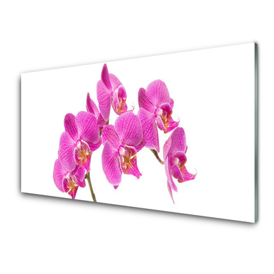 Slika na akrilnem steklu Orhideje narava