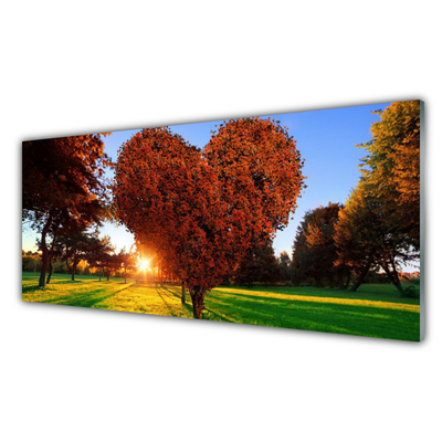 Slika na akrilnem steklu Drevo srce narava