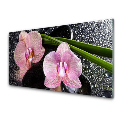Slika na akrilnem steklu Orchid rože orhideja zen