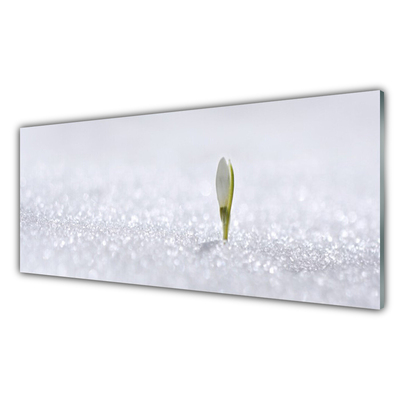 Slika na akrilnem steklu Snowdrop sneg winter