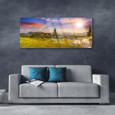 Slika na akrilnem steklu Mountain travnik narava nebo