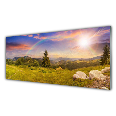 Slika na akrilnem steklu Mountain travnik narava nebo