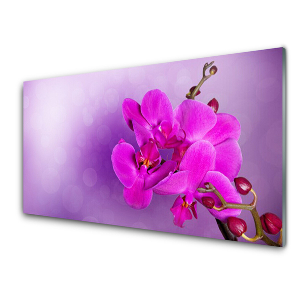 Slika na akrilnem steklu Orchid latice cvetje