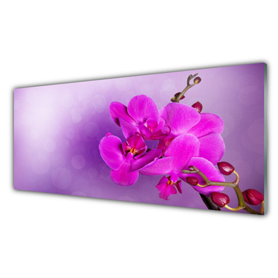 Slika na akrilnem steklu Orchid latice cvetje