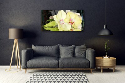 Slika na akrilnem steklu Orchid cvetni listi