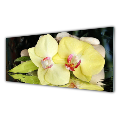 Slika na akrilnem steklu Orchid cvetni listi