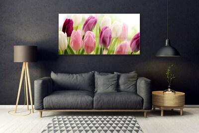 Slika na akrilnem steklu Tulipani rože narava travnik